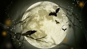 Pe ce dată pică Halloween-ul în 2023? Iată care sunt cele mai populare tradiții legate de această sărbătoare